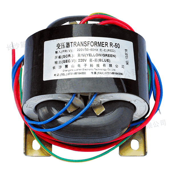 R-50 220V-220V 